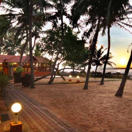 Budget Ayurveda
										Retreats